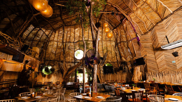 5 Restaurants You Absolutely Need to Try in Cancún