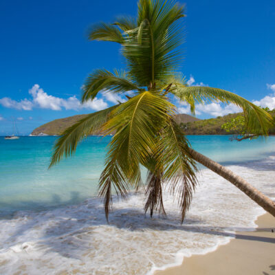 Our 5 Favorite Beaches for Swimming in St. John