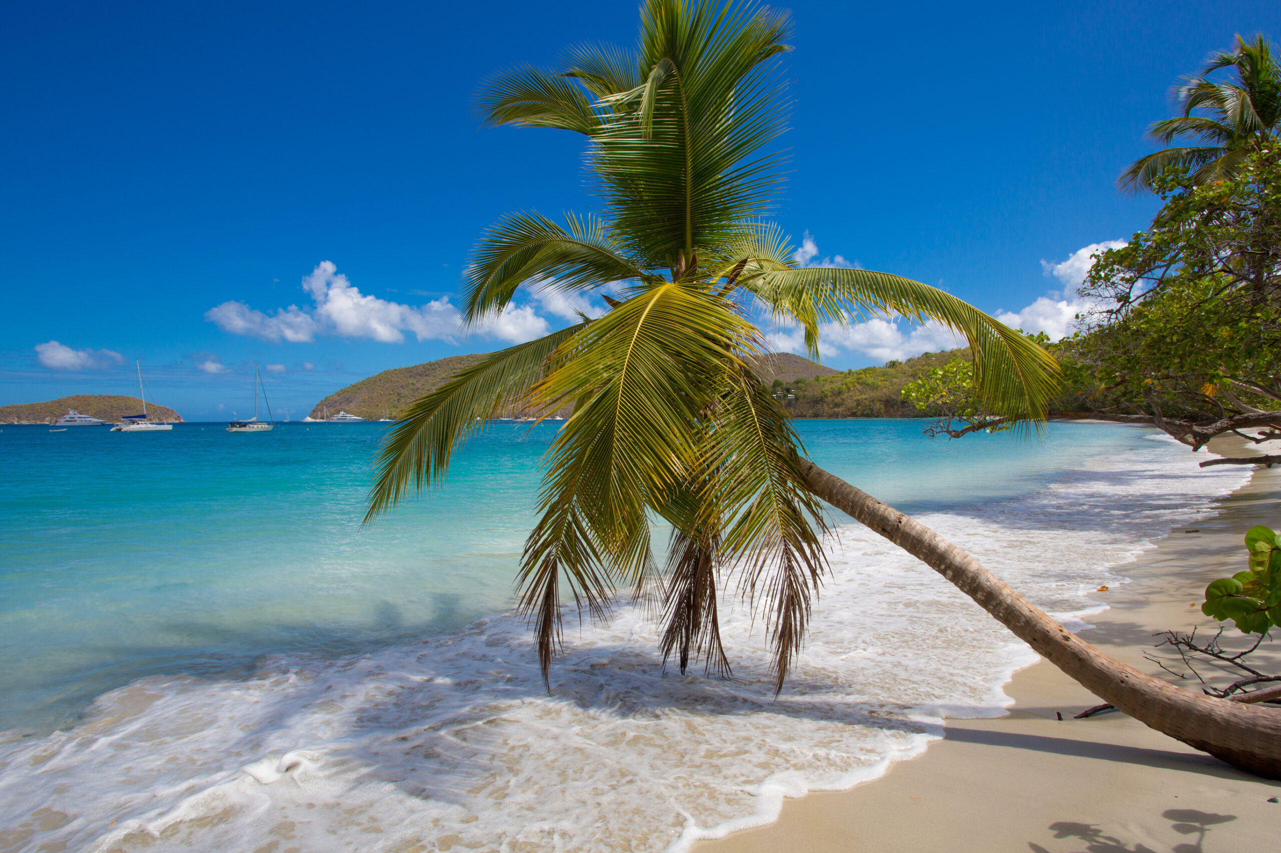 Our 5 Favorite Beaches for Swimming in St. John