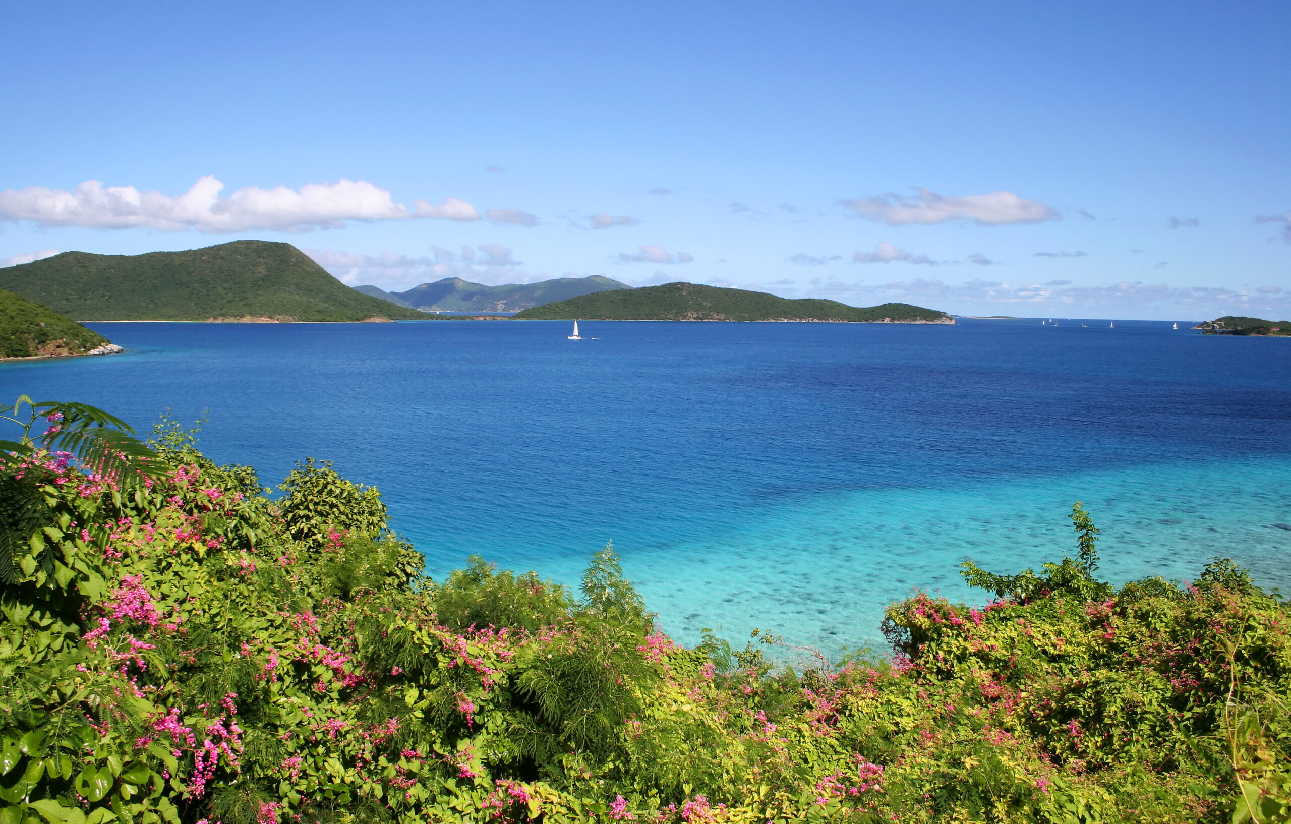 Leinster Bay Vista, sea scape with close-up flowers on the Caribbean island of St John.