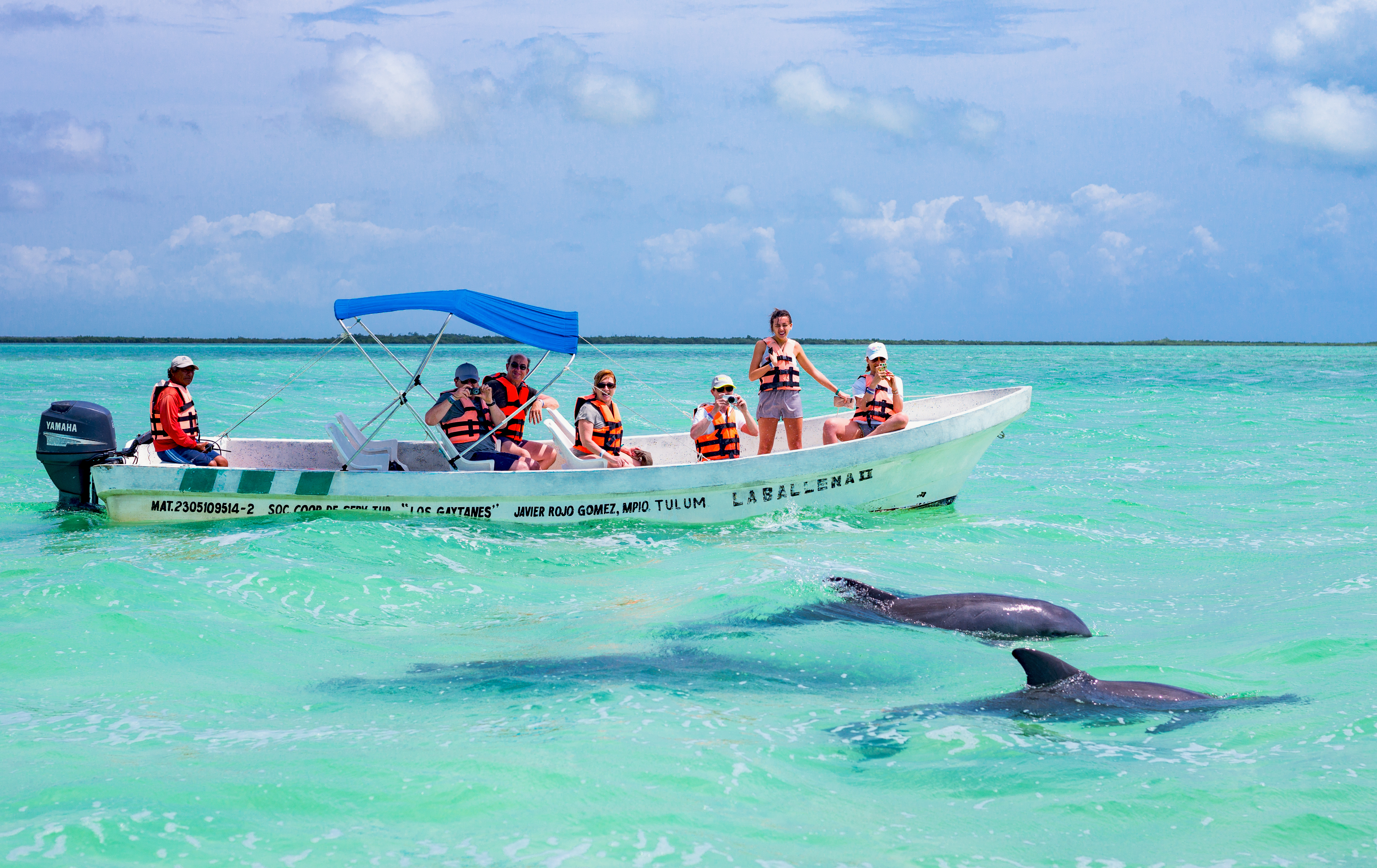 sian-kaan-dolphins