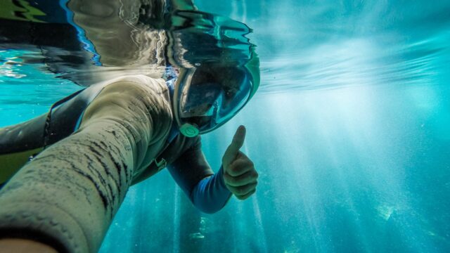 The Best Cenotes Near Cancún—and How to Visit Them