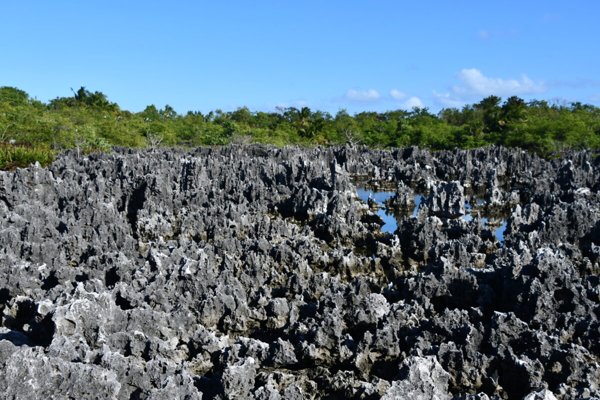 Limestone formations in the town of Hell on Grand Cayman in the Cayman Islands USA