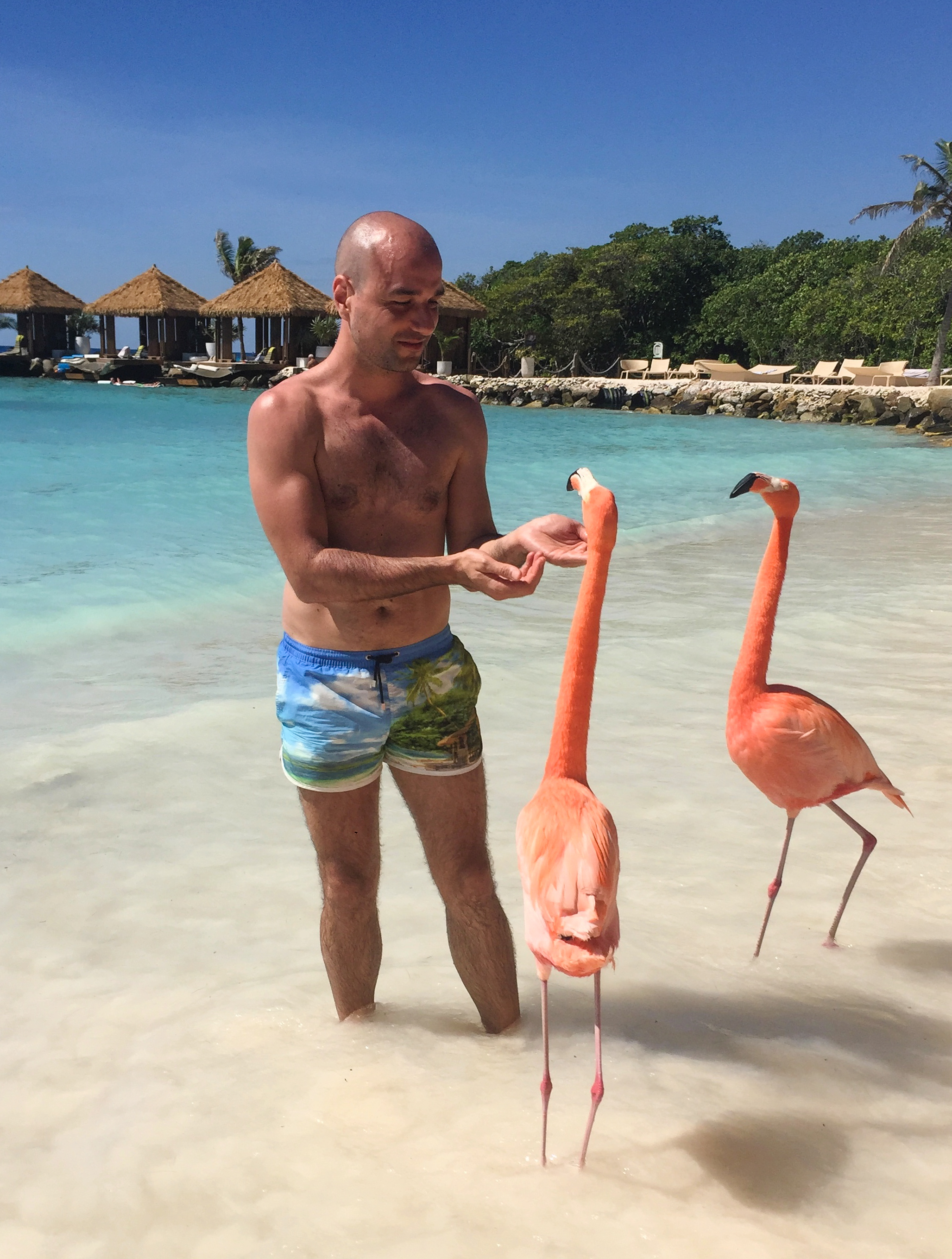 yannis-travel-blogger-in-aruba