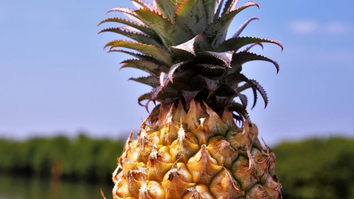 pineapple-sky-background