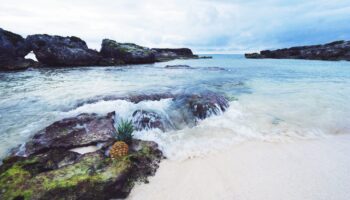 pineapple-in-the-ocean-eleuthera