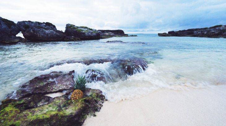 pineapple-in-the-ocean-eleuthera