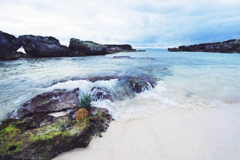 pineapple-in-the-ocean-eleuthera