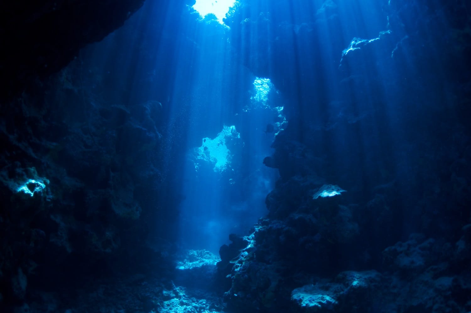 Devils Grotto Cayman Islands.