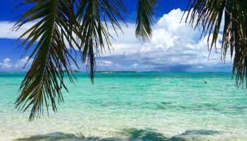 tropical-bahamas-beach-palm-turquoise-water