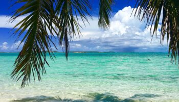 tropical-bahamas-beach-palm-turquoise-water