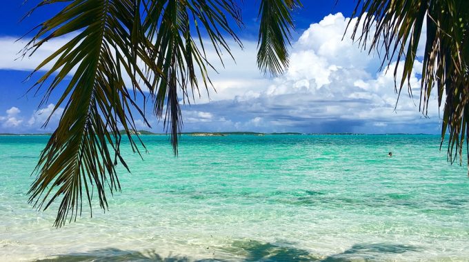 tropical-bahamas-beach-palm-turquoise-water
