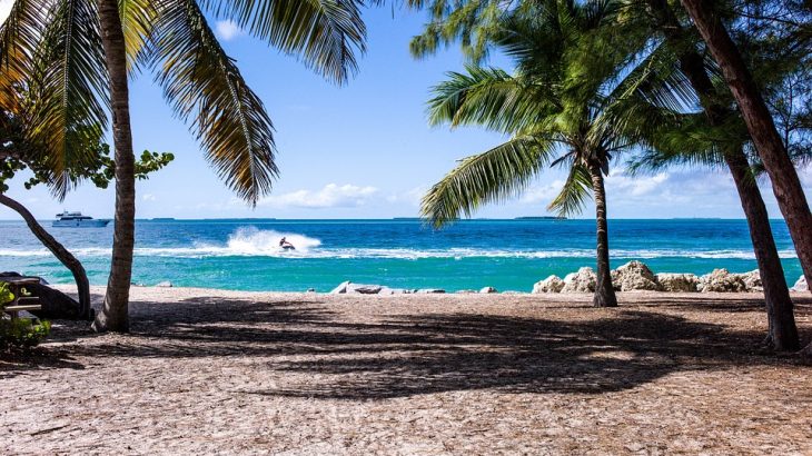 bahamas-beach-shade-palm-tree