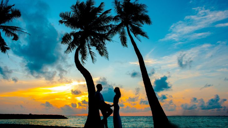 couple-under-palm-tree-sunset