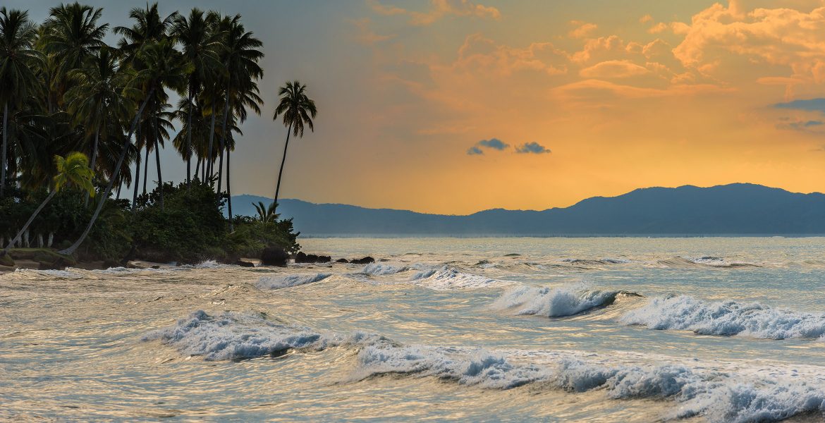 sunset-waves-palm-trees