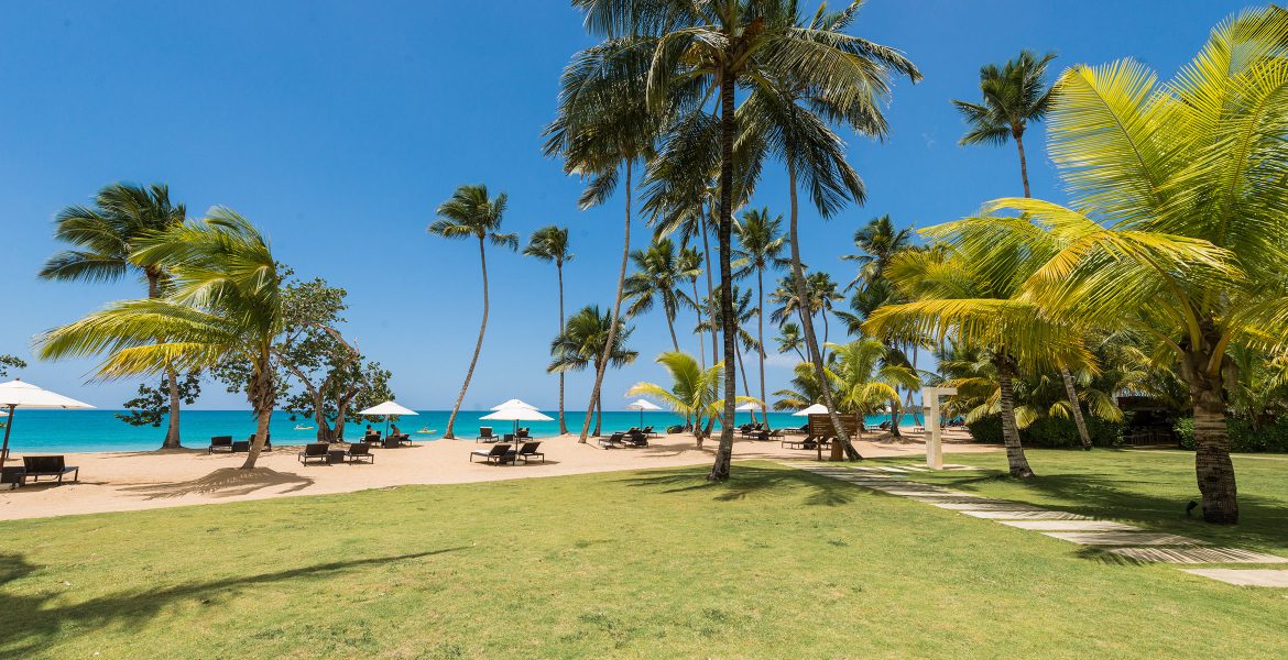 grass-meets-pristine-beach