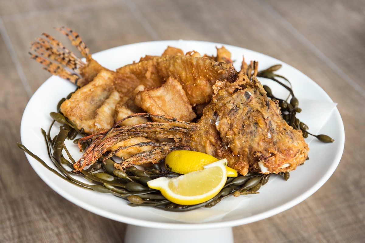 whole-fried-lionfish-fish-jose-andres-cove-atlantis