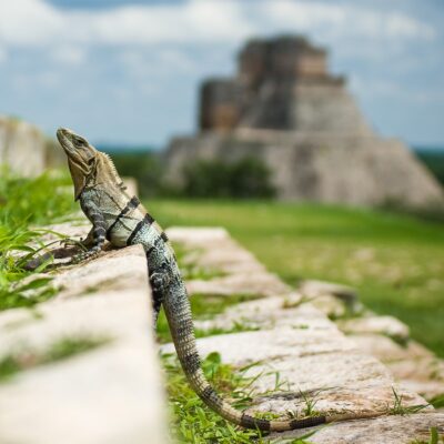 Visit Chichen Itza & More on These Day Trips in the Yucatán Peninsula