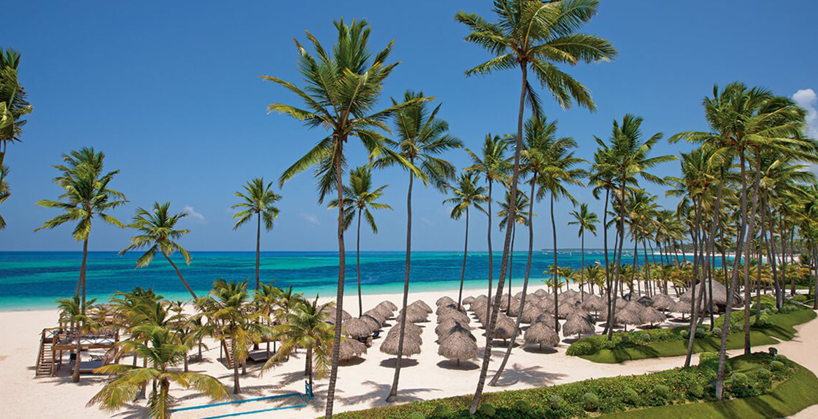 palm-tree-beach-punta-cana