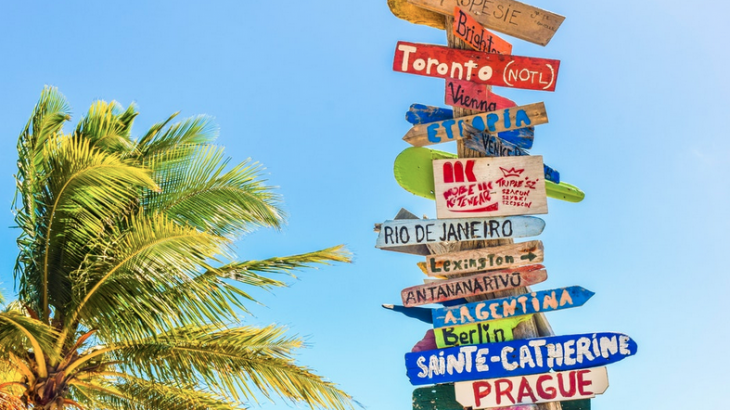 destination-signs-palm-tree