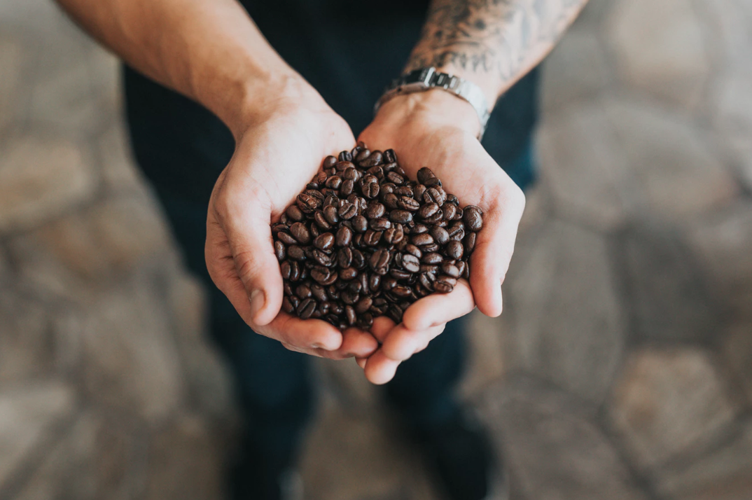 coffee-beans-hands