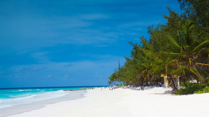 white-sand-beach-barbados