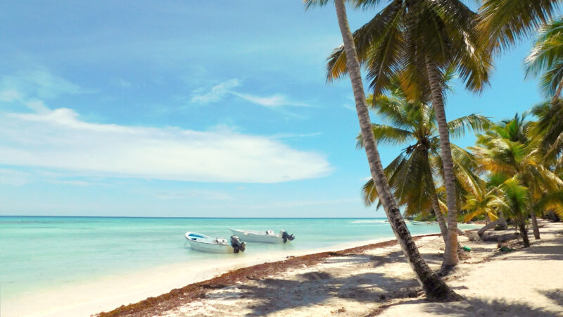 Saona Island