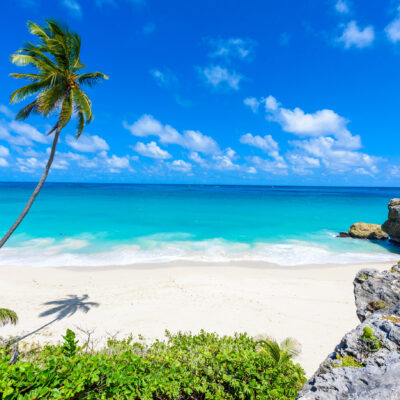 Barbados’ National Dish: Why Flying Fish and Cou Cou Are Favorites