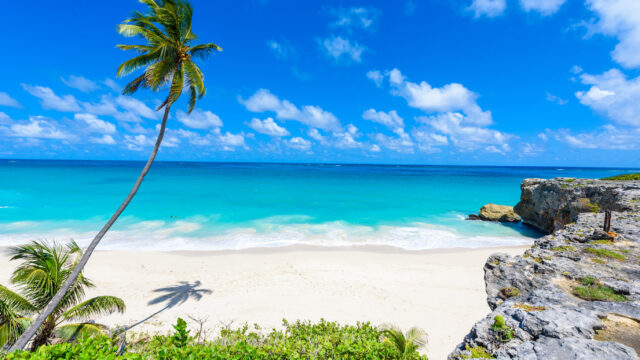 Barbados Guide: Best Beaches, Restaurants, and Must-Do Experiences