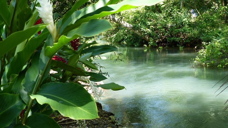 river-through-frenchman's-cove