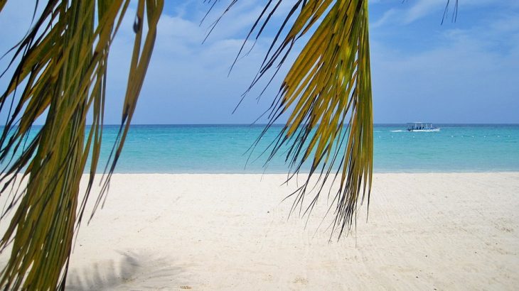 white-sand-turquoise-water-palms