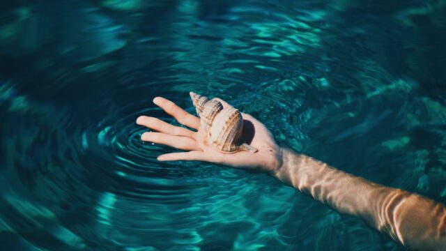 Where to Try the Most Popular Mollusk in the Bahamas