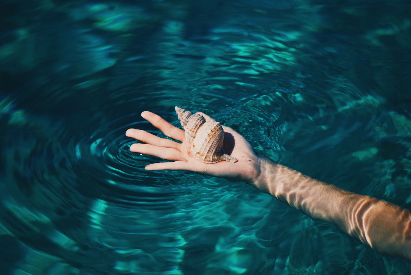 Where to Try the Most Popular Mollusk in the Bahamas