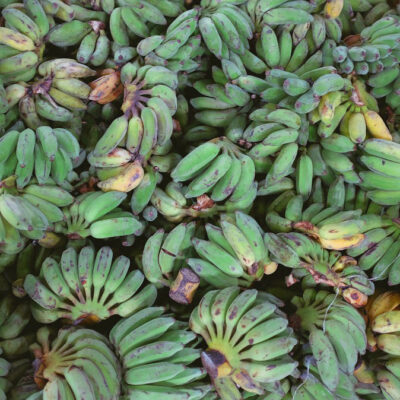 7 Traditional Meals You Must Try in the Dominican Republic