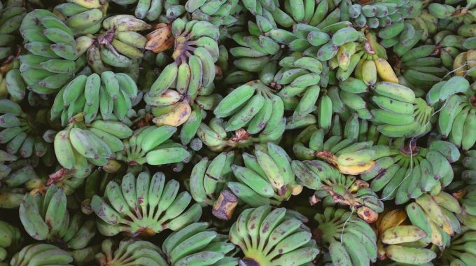 green-plantains