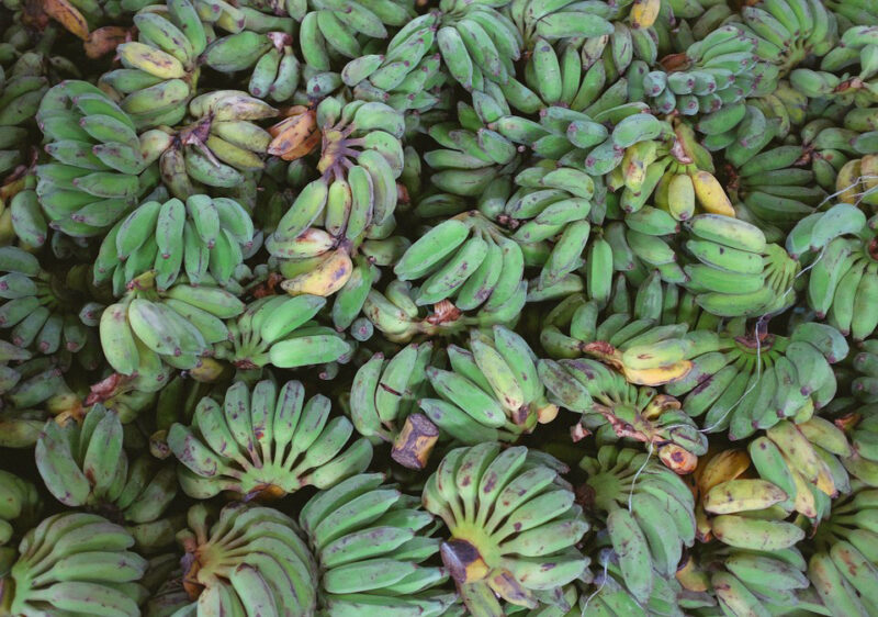 green-plantains