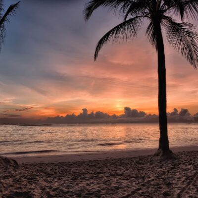 Top Things to Do in Punta Cana