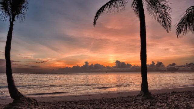 Top Things to Do in Punta Cana