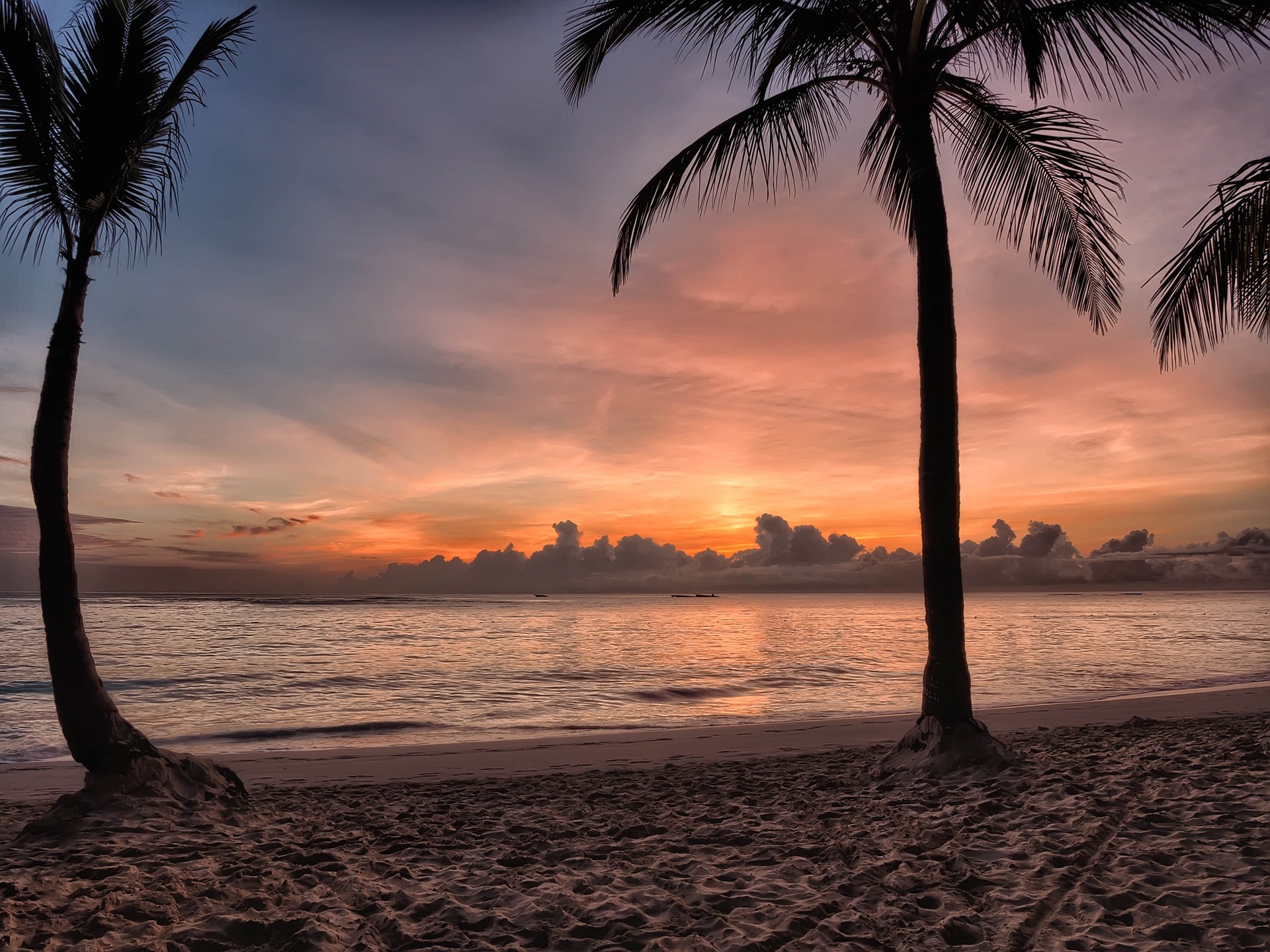 Top Things to Do in Punta Cana