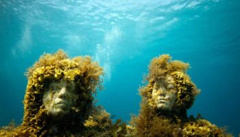 musa-underwater-art-exhibit-statues-cancún