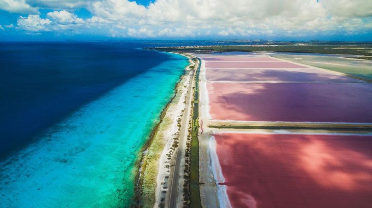 pink-salt-flat-caribbean-sea-bonaire