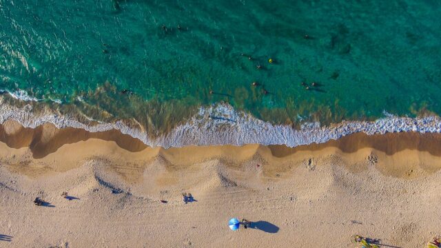 11 Ways You Can Save the Ocean From Plastic Pollution