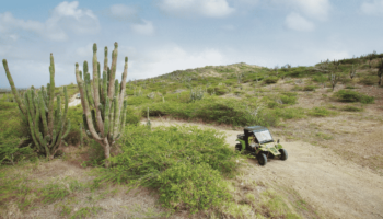 aruba-desert-atv