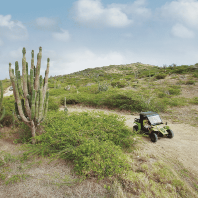 Best Things to Do With Kids in Aruba