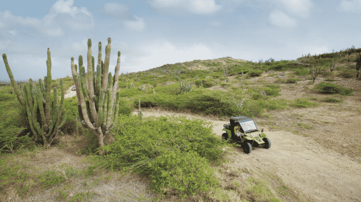 aruba-desert-atv