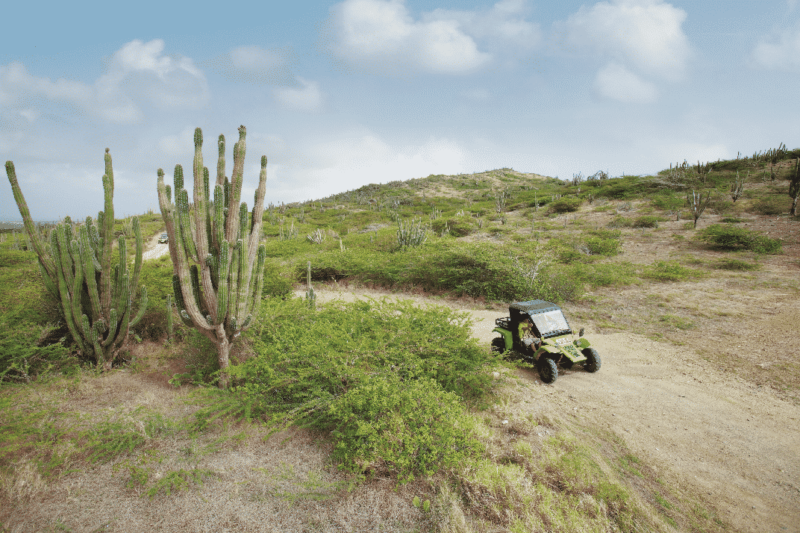 aruba-desert-atv