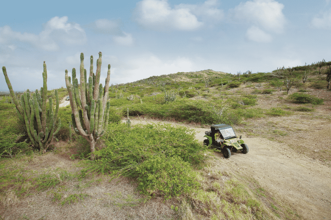 Best Things to Do With Kids in Aruba