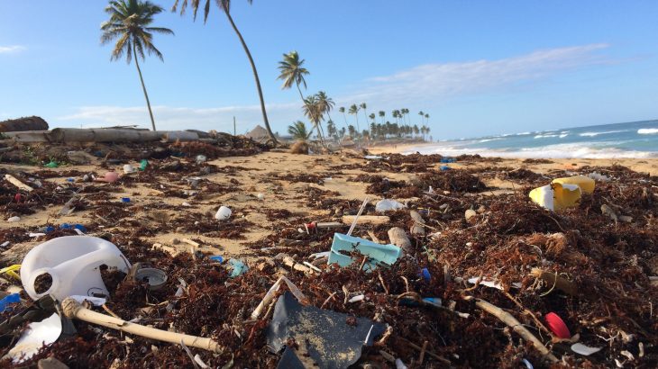 clean-up-the-beach-to-save-the-ocean