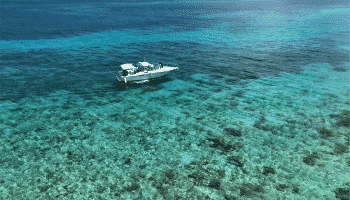 reef-pearl-island-nassau-bahamas