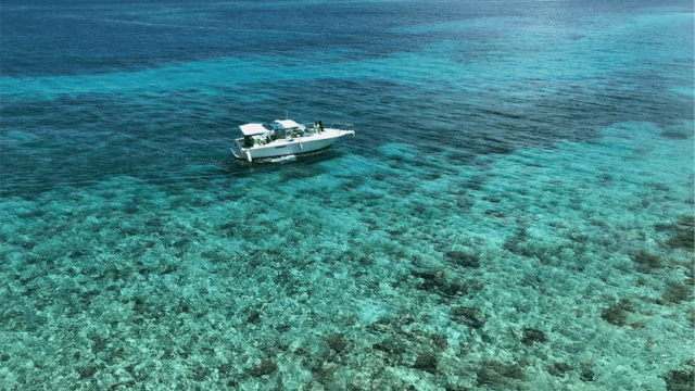 5 Things to Do on Pearl Island, Bahamas